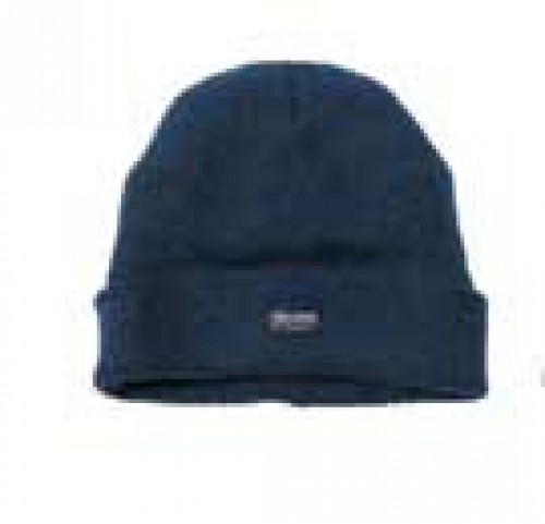 Thinsulate Knitted Hat