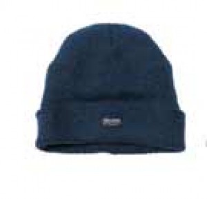 Thinsulate Knitted Hat