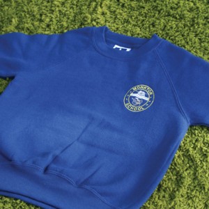 Unisex Royal Sweatshirt Inc Embroidered Logo